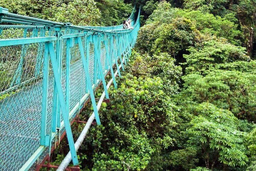 Monteverde Hanging Bridges Tour