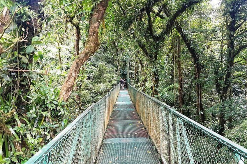 Monteverde Hanging Bridges