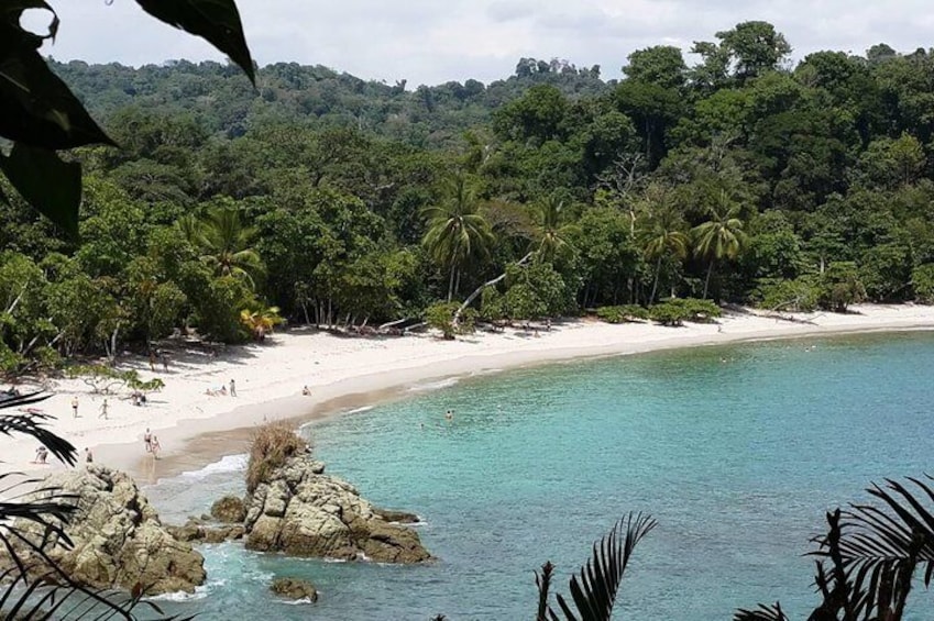 manuel antonio national park