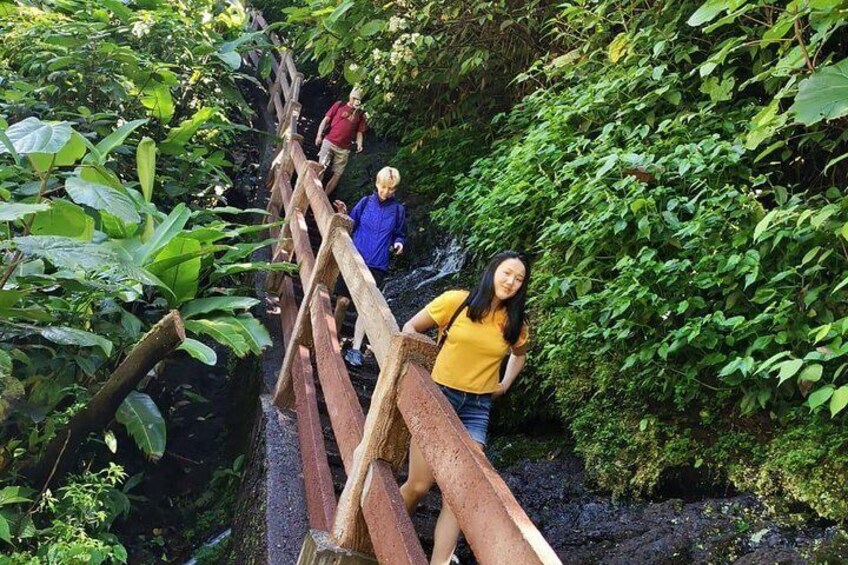 Poas Volcano National Park & La Paz Waterfalls Gardens Private Tour from San Jose