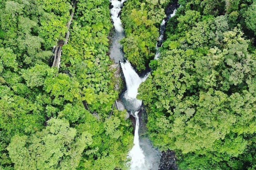 Poas Volcano National Park & La Paz Waterfalls Gardens Private Tour from San Jose