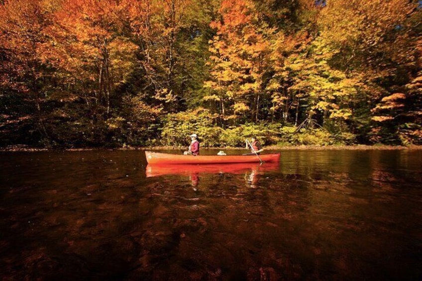 Canoe, Kayak, Paddleboard Rouge River - Self Guided Descent