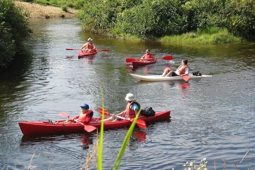 Canoe, Kayak, Paddleboard Rouge River - Self Guided Descent