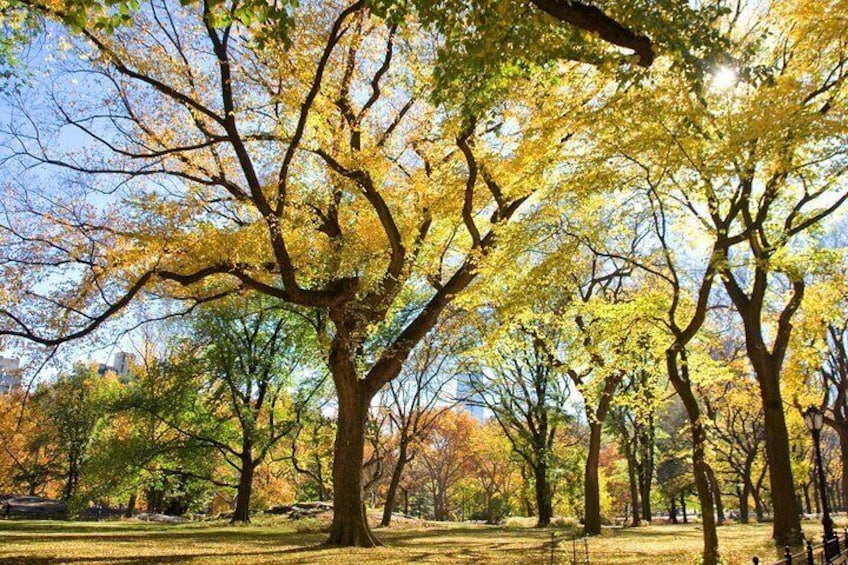 Central Park Photography Tour in New York