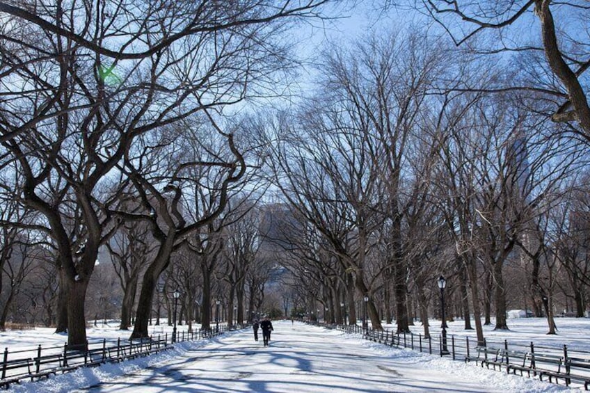 Central Park Photo Safari Tour