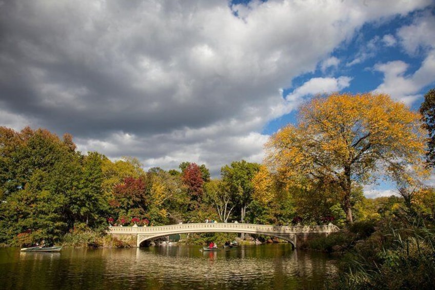 Central Park Photo Safari Tour