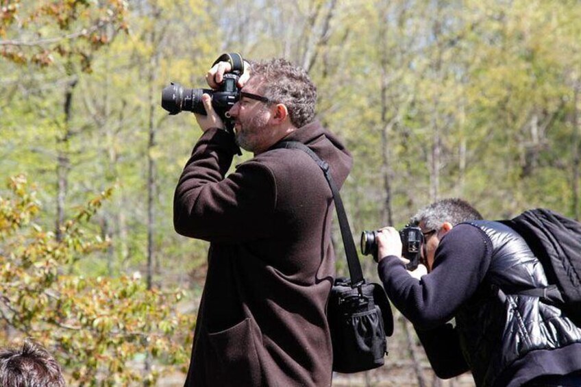 Central Park Photo Tour & Workshop