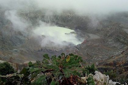 Cataratas del volcán Poás y tour de café desde San José