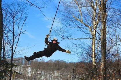 Ziplines and Hike Mont Tremblant (2h)