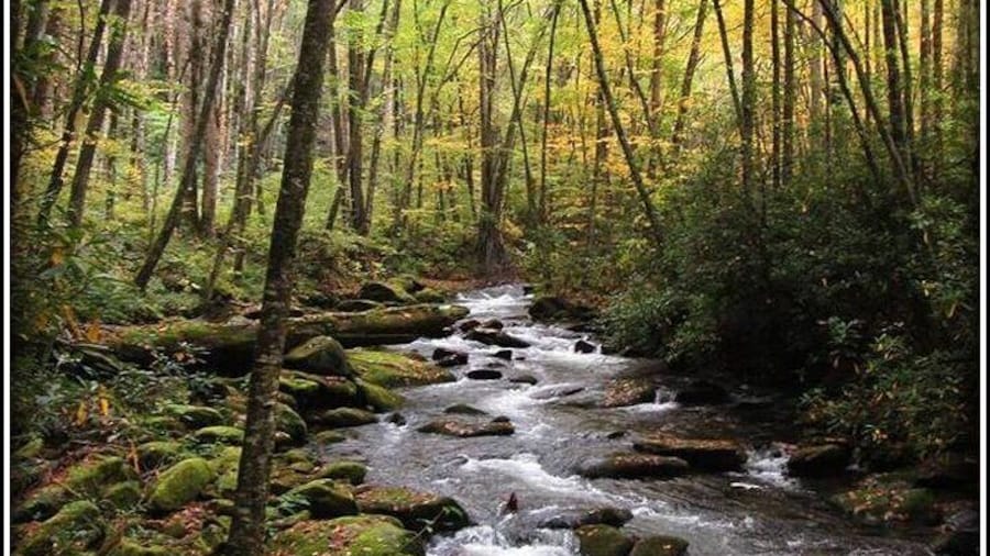 Historic River Town Ramble