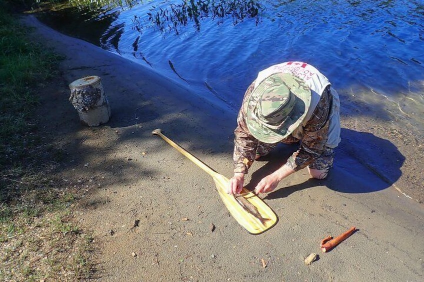 Cleaning a trout