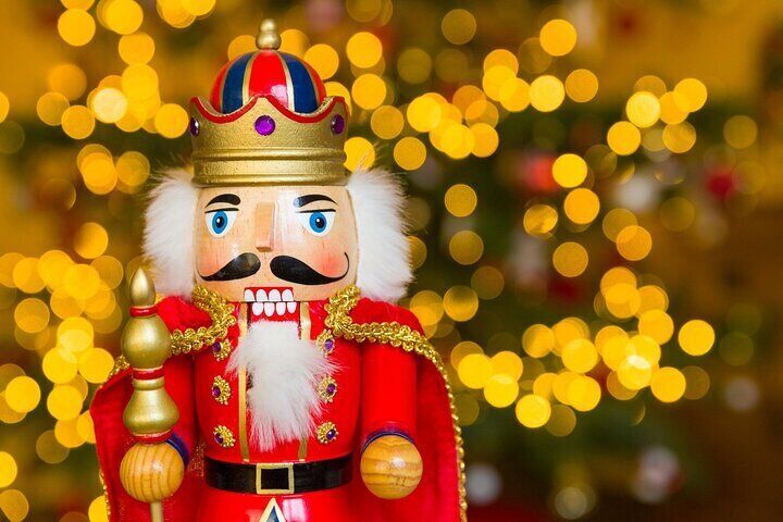 Private Dallas Holiday Lights Sightseeing Bus Tour 