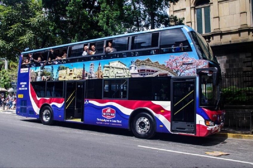 VIP City Bus Half Day