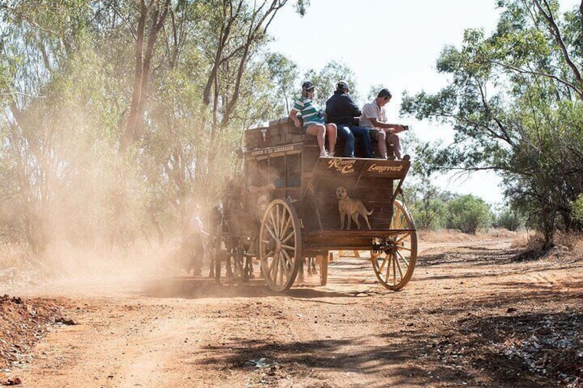 Cobb and Co Stagecoach Experience