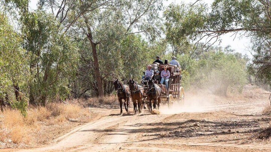 Down the Dusty Track