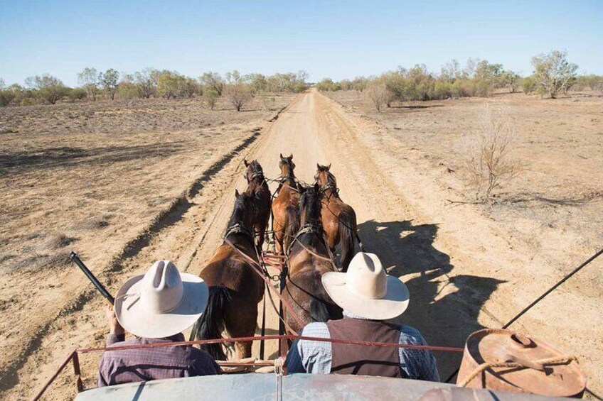 Cobb and Co Stagecoach Experience