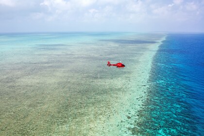 Full Day Reef Experience With Helicopter Scenic Flight