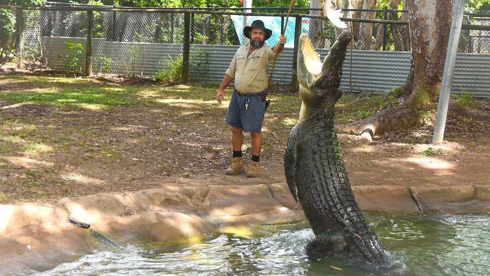 Billabong Sanctuary