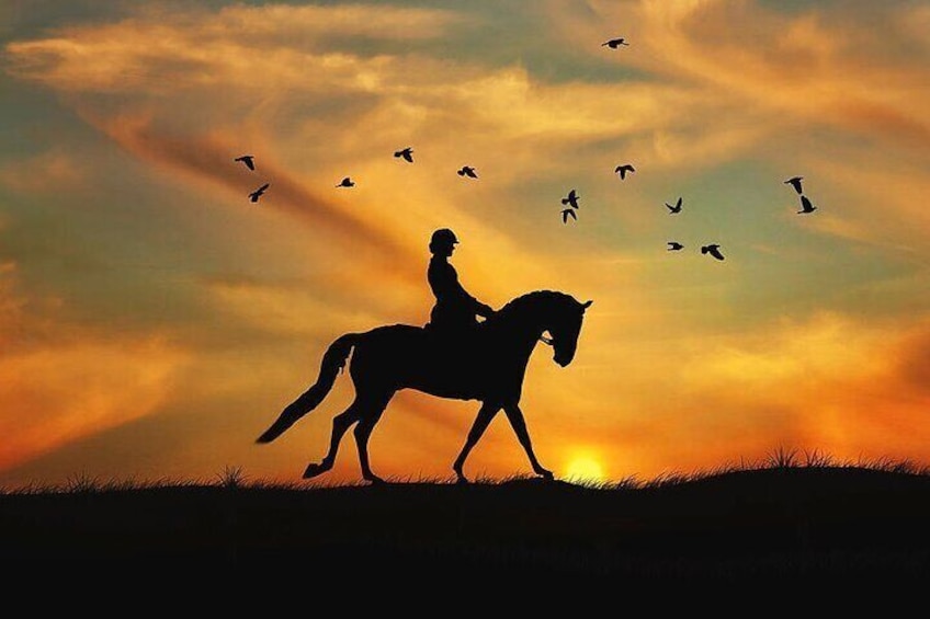 Horse Riding in the Valleys of Cappadocia