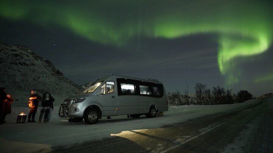 Tromso Aurora Bonfire with Cinnamon Cake and Marshmallow Roast