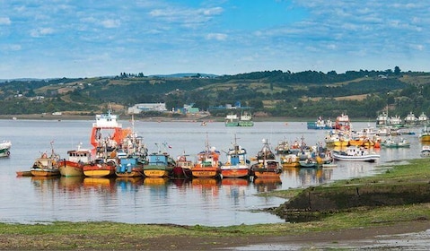 Puerto Varas: Full-Day Tour Chiloe Island: Castro and Dalcahue