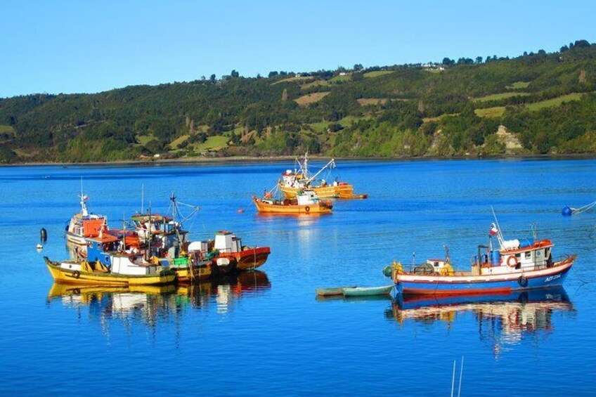 Puerto Varas: Full-Day Tour Chiloe Island: Ancud - Castro and Dalcahue