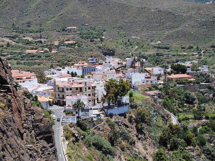 Minivan VIP Tour Tastes of Fuerteventura