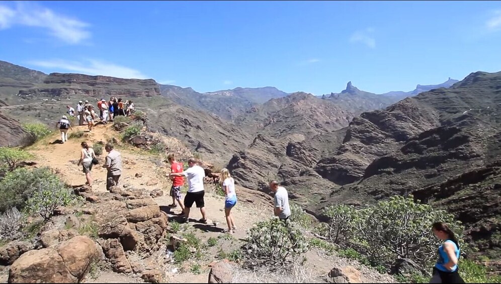 Minivan VIP Tour Tastes of Fuerteventura