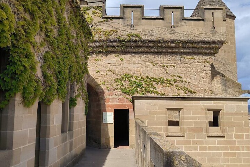 Two winerie visits in Olite, and tour of the royal castle.
