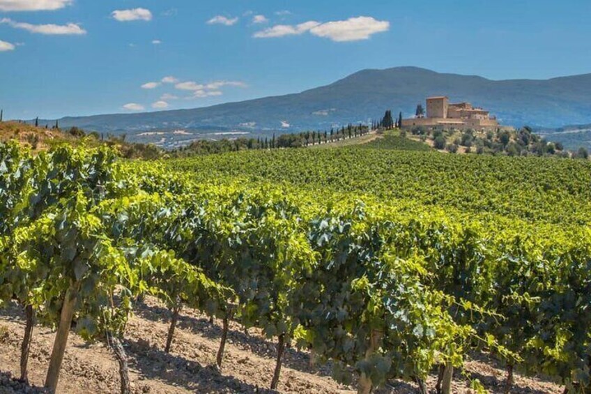 Private tour of La Rioja, with two wineries and La Guardia.