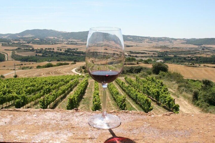 Private tour of La Rioja, with two wineries and La Guardia.
