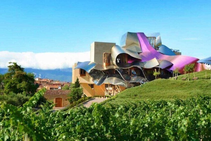 Two winerie visits in la Rioja and walking tour of la Guardia