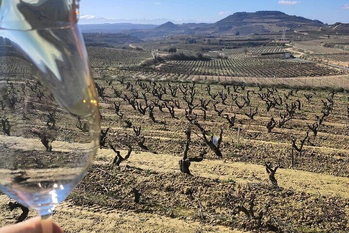 Private La Rioja Wine Tasting Tour.