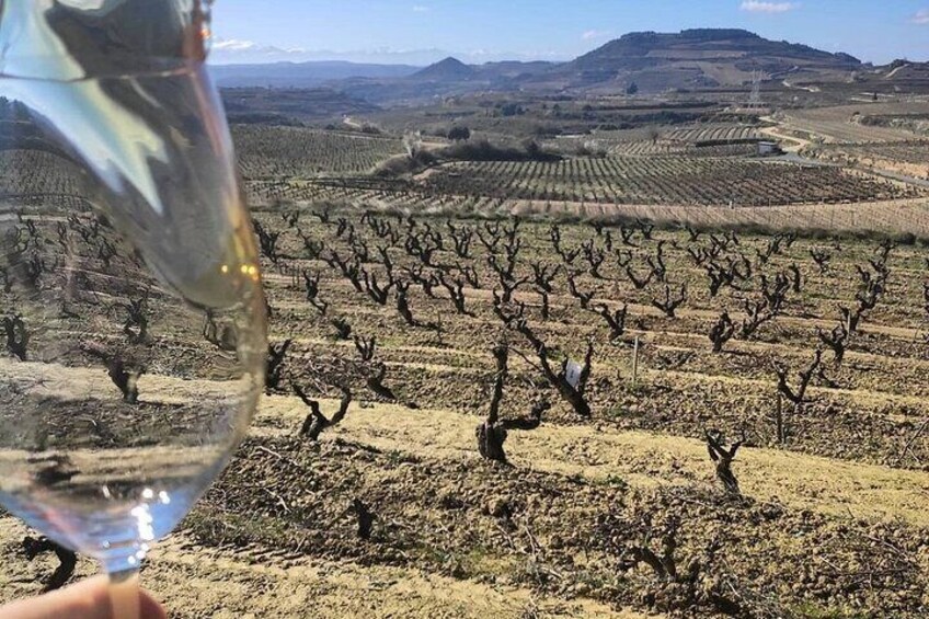 private rioja wine tours