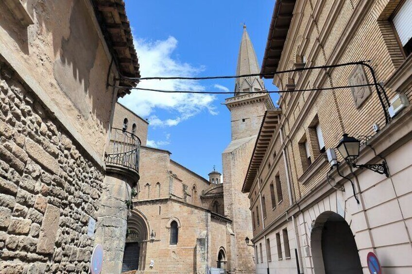 Two winerie visits in Olite, and tour of the royal castle.