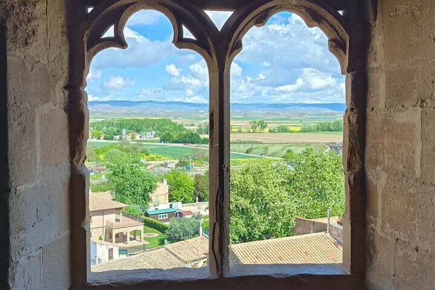Two winerie visits in Olite, and tour of the royal castle.