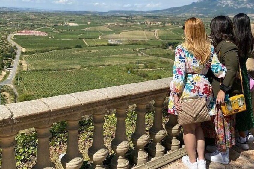 Transport to la rioja, with two wine cellar visits, and tour of La Guardia.