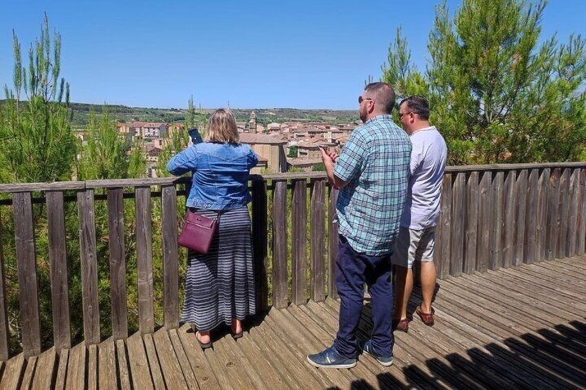 Transport to la rioja, with two wine cellar visits, and tour of La Guardia.