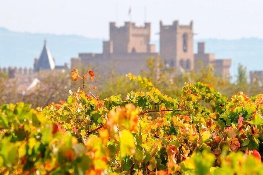 Two winerie visits with tasting, and the royal castle of Olite.
