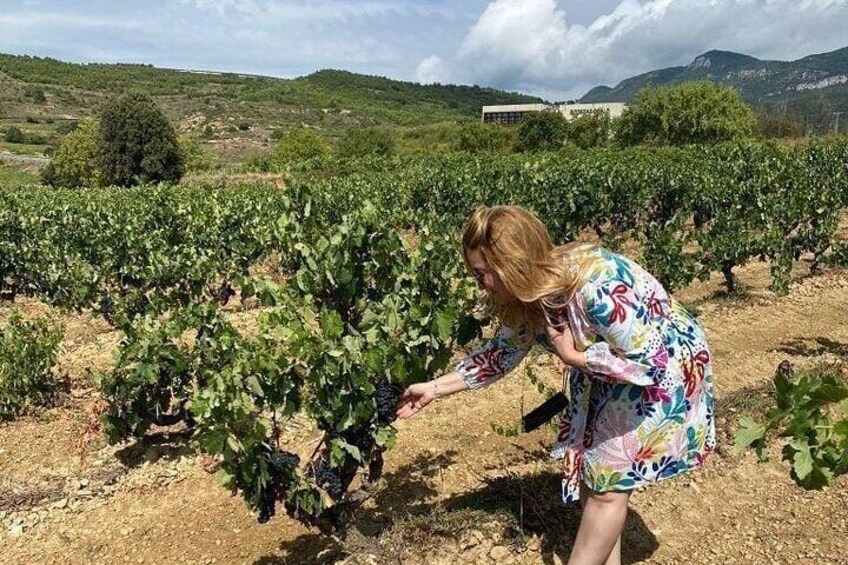 Private La Rioja wine tastings and tour of La Guardia