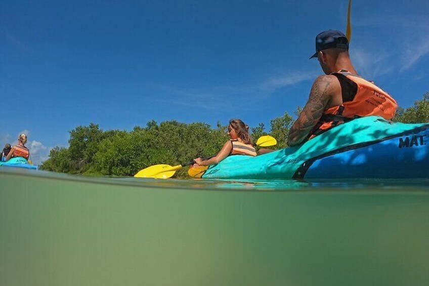 Kayaking Tour Through the Mangroves in Isla Holbox