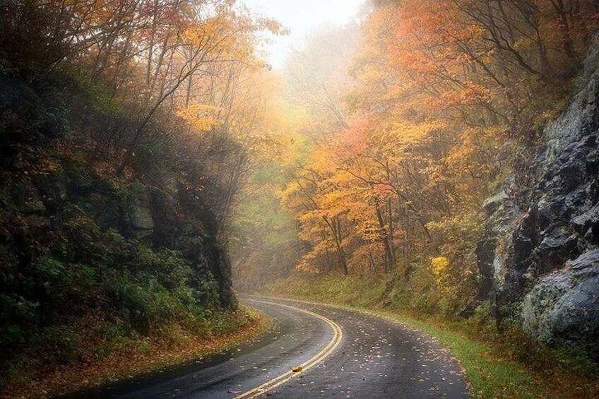 Fall on the Blue Ridge Parkway