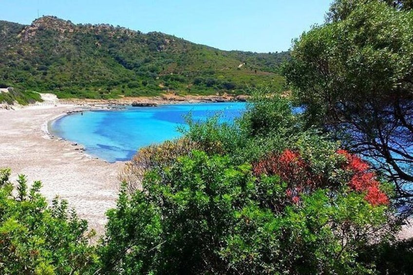 Cagliari: Full-Day Private Tour of Sardinia's Hidden Beaches from Chia