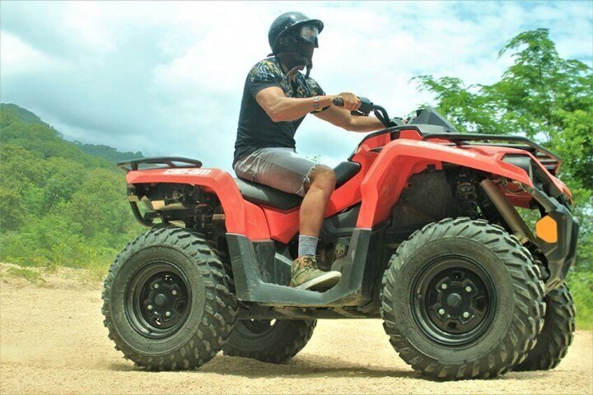 Quads Atv Off Road Jungle Adventure