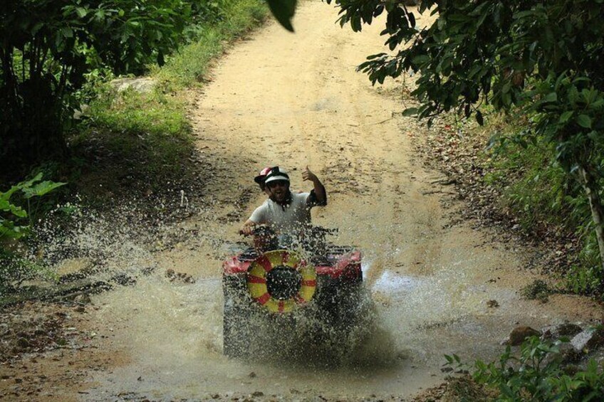 Quads Atv Off Road Jungle Adventure