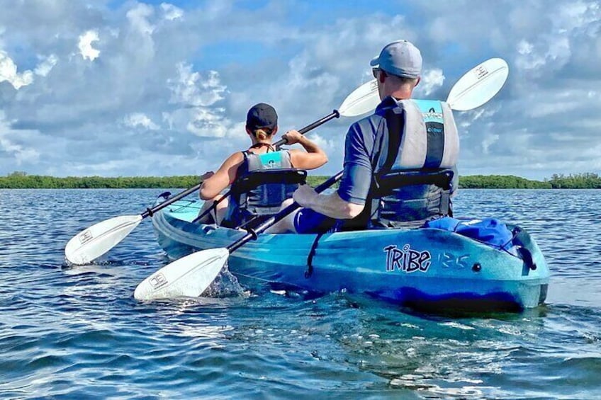 Small Group Kayak Tour of the Shell Key Preserve