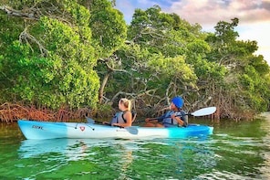 Small Group Kayak Tour of the Shell Key Preserve
