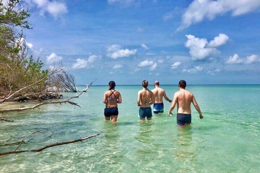 Small Group Kayak Tour of the Shell Key Preserve