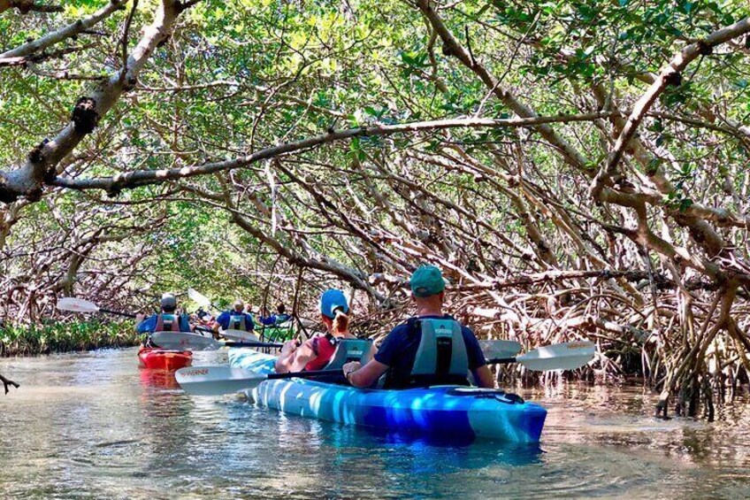 small group kayak tour of the shell key preserve