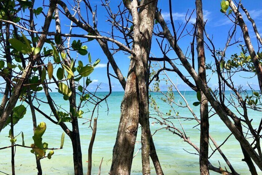 small group kayak tour of the shell key preserve